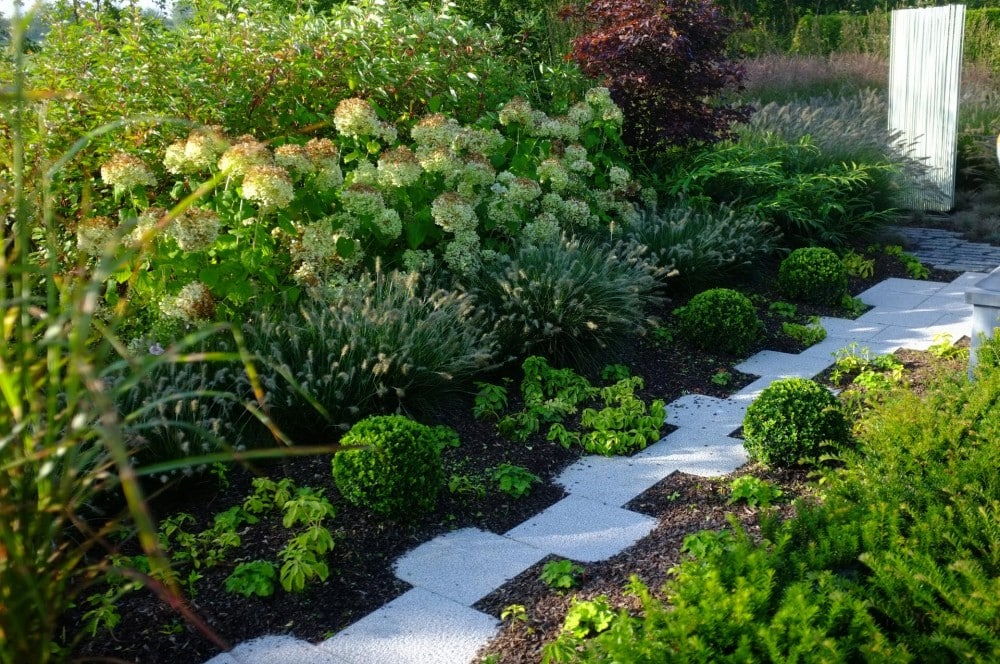 Créez le jardin de vos rêves avec notre expertise paysagiste